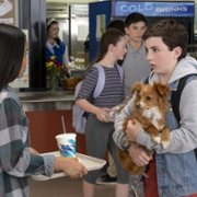 The Healing Powers of Dude - galeria zdjęć - filmweb