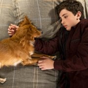 The Healing Powers of Dude - galeria zdjęć - filmweb