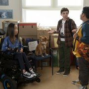 The Healing Powers of Dude - galeria zdjęć - filmweb