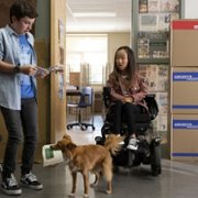 The Healing Powers of Dude - galeria zdjęć - filmweb