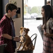 The Healing Powers of Dude - galeria zdjęć - filmweb