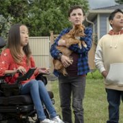 The Healing Powers of Dude - galeria zdjęć - filmweb