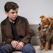 The Healing Powers of Dude - galeria zdjęć - filmweb
