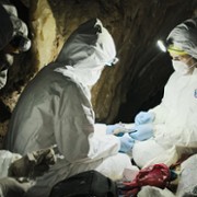 Pandemic: How to Prevent an Outbreak - galeria zdjęć - filmweb