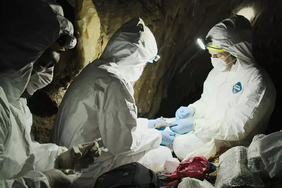 Pandemia - galeria zdjęć - filmweb