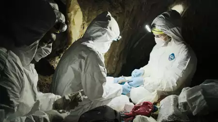 Pandemia - galeria zdjęć - filmweb