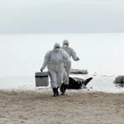 Helgoland 513 - galeria zdjęć - filmweb