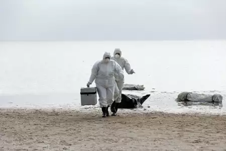 Helgoland 513 - galeria zdjęć - filmweb