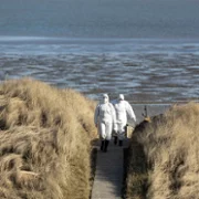Helgoland 513 - galeria zdjęć - filmweb