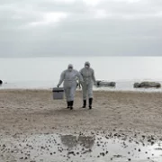 Helgoland 513 - galeria zdjęć - filmweb