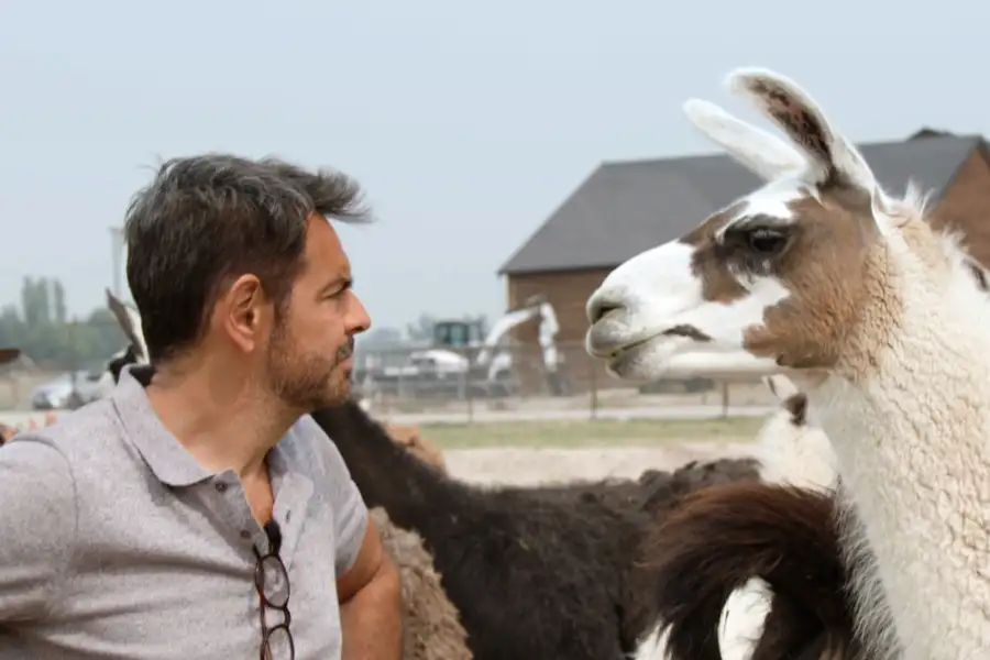 De viaje con los Derbez - galeria zdjęć - filmweb