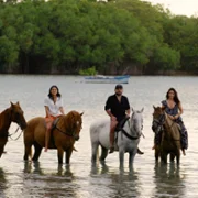 De viaje con los Derbez - galeria zdjęć - filmweb