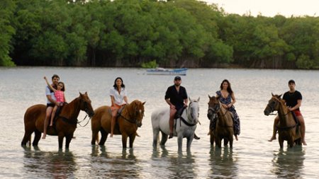 Sezon 3 Odcinek 6 ¡Dale, dale, dale! 