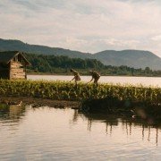 Simindis Kundzuli - galeria zdjęć - filmweb