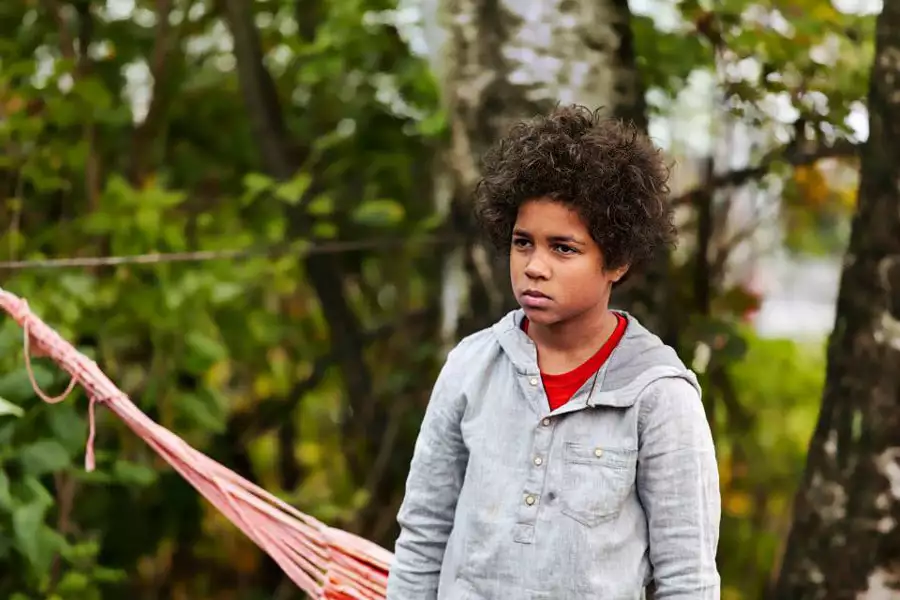 Serce lwa - galeria zdjęć - filmweb