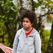 Serce lwa - galeria zdjęć - filmweb