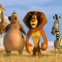 Madagaskar 2 - galeria zdjęć