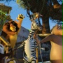 Madagaskar 2 - galeria zdjęć