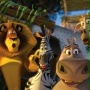 Madagaskar 2 - galeria zdjęć