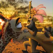 Sacha Baron Cohen w Madagaskar 2
