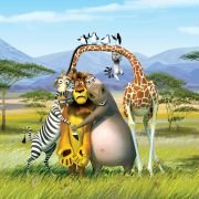 Madagaskar 2 - galeria zdjęć - filmweb