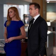 Suits - galeria zdjęć - filmweb