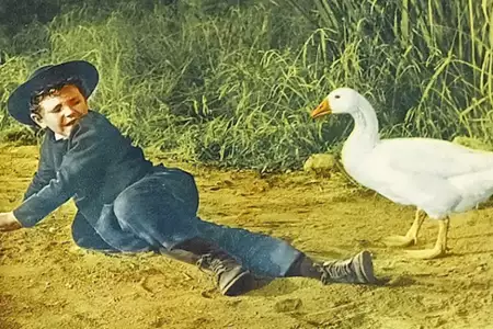 Przyjacielska perswazja - galeria zdjęć - filmweb