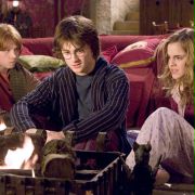 Harry Potter i Czara Ognia - galeria zdjęć - filmweb