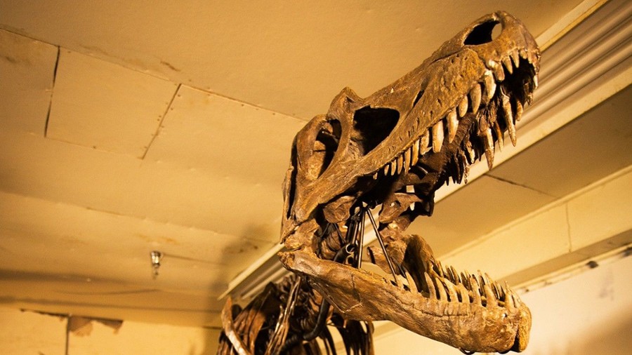 Śmiertelne starcie dinozaurów - galeria zdjęć - filmweb