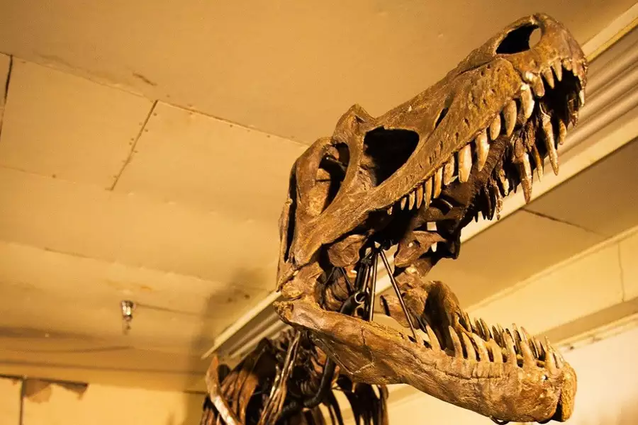 Śmiertelne starcie dinozaurów - galeria zdjęć - filmweb