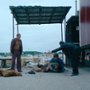 Polish Dream - galeria zdjęć