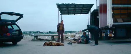 Polish Dream - galeria zdjęć - filmweb