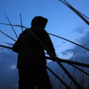 Post Tenebras Lux - galeria zdjęć - filmweb