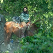 Paradise - galeria zdjęć - filmweb