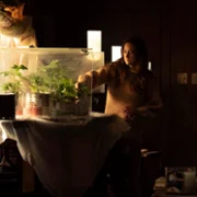 Paradise - galeria zdjęć - filmweb