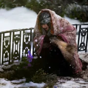 Paradise - galeria zdjęć - filmweb