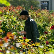 Paradise - galeria zdjęć - filmweb