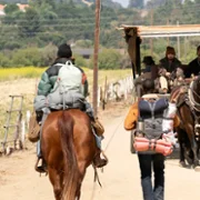 Paradise - galeria zdjęć - filmweb