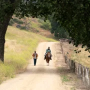 Paradise - galeria zdjęć - filmweb