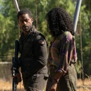 Paradise - galeria zdjęć - filmweb