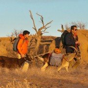 Goats - galeria zdjęć - filmweb