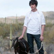 Goats - galeria zdjęć - filmweb