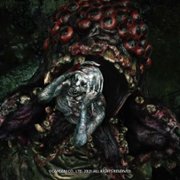 Biohazard Village - galeria zdjęć - filmweb