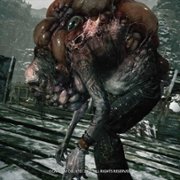 Biohazard Village - galeria zdjęć - filmweb