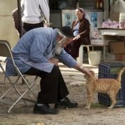 Hatalyan - galeria zdjęć - filmweb