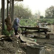 Hatalyan - galeria zdjęć - filmweb