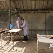 Hatalyan - galeria zdjęć - filmweb