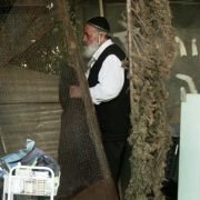Hatalyan - galeria zdjęć - filmweb