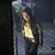 Piękna i bestia - galeria zdjęć - filmweb