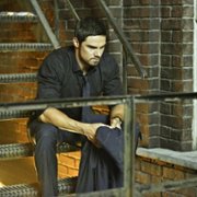 Piękna i bestia - galeria zdjęć - filmweb